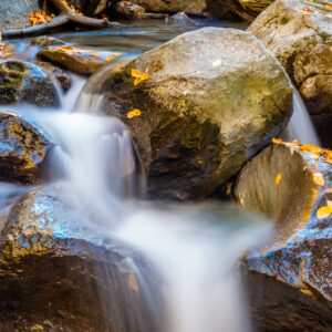Mountain Stream II